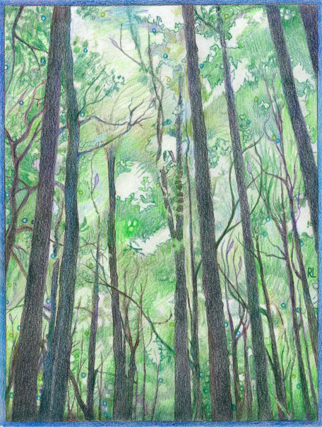 Filtered Light - colored pencil